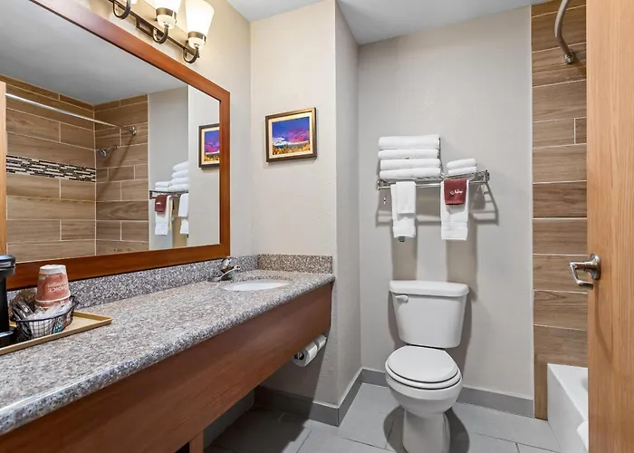 Comfort Inn & Suites Midtown